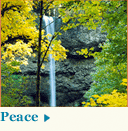 Guided Meditation - Peace